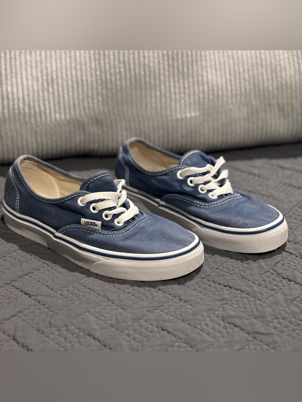 Vans Blue Canvas Low-Top Sneakers